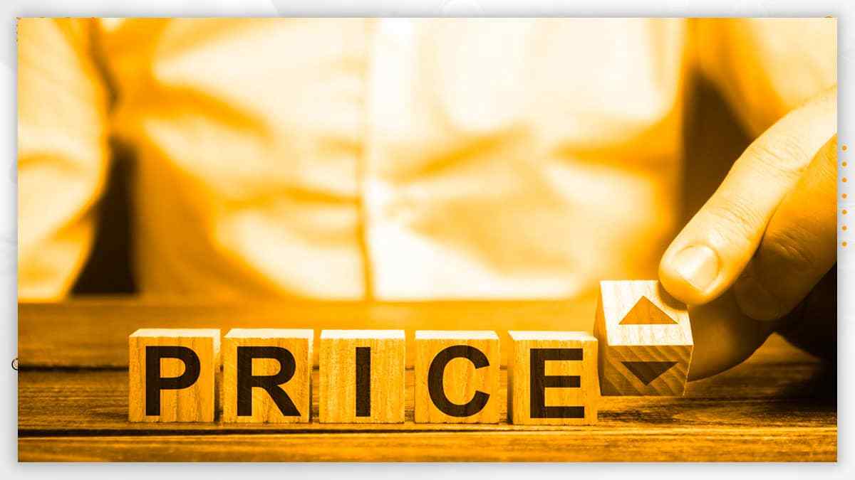 Pioneer-the-Price-Change-Policy