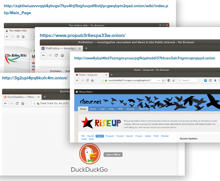 Listing Data Field