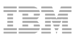 ibm-logo